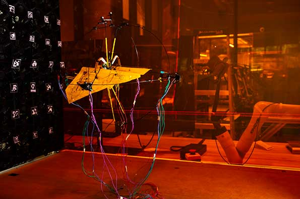 Aerobat - Bioinspired Morphing Robot